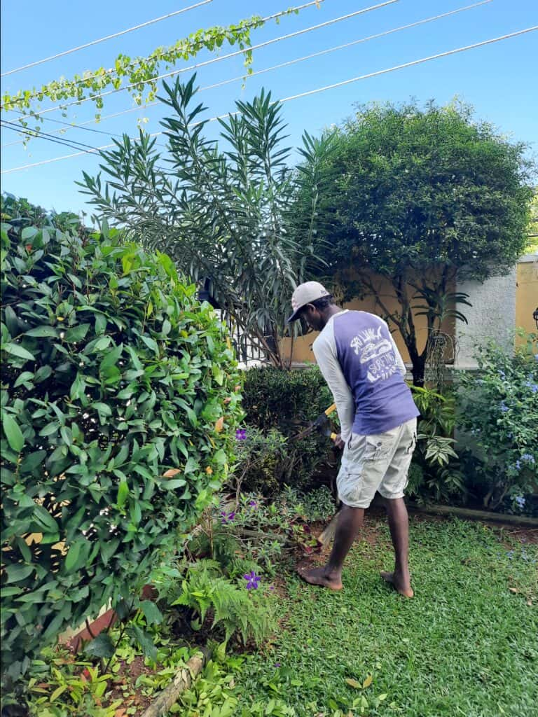 උද්‍යාන නඩත්තුව (Garden Maintenance) Vision Landscaping Services