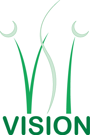 Ai. Final Logo - Vision Landscaping